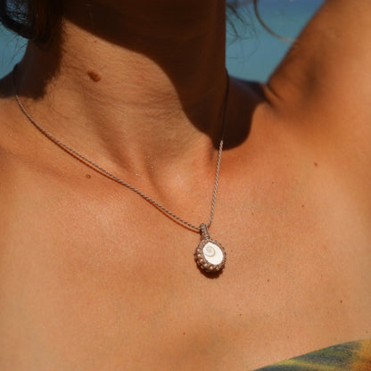 Kette "Orion" mit Operculum (Shivas eye)