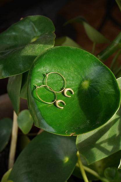 Ohrringe "Lyra" mit Mond Anhänger