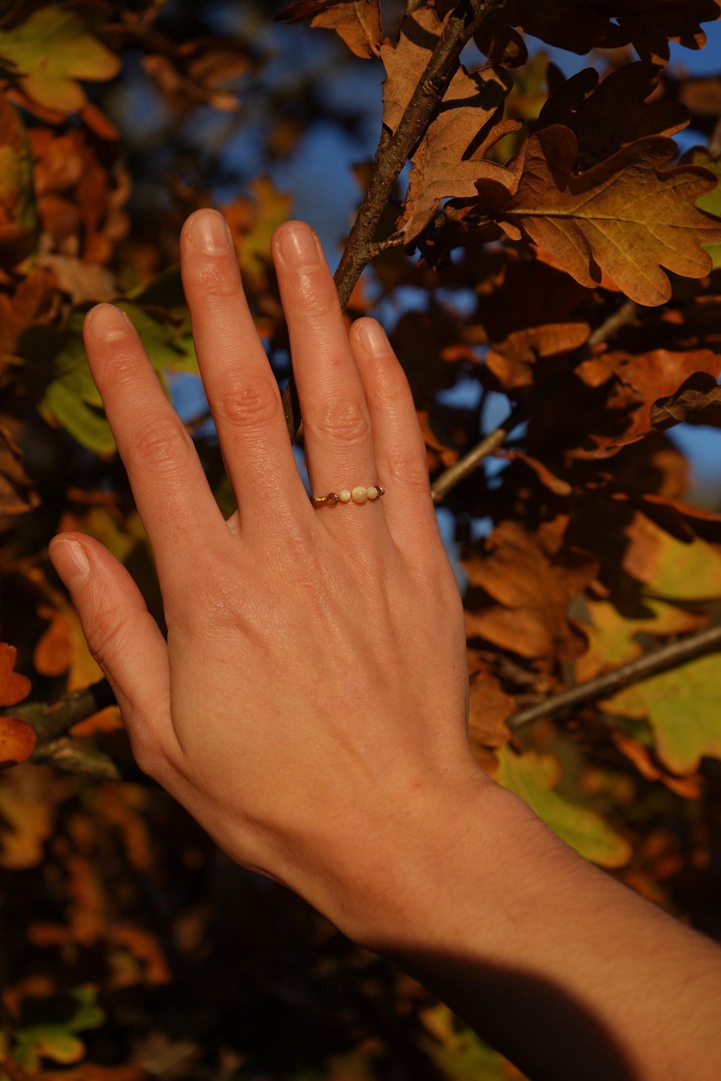Schmuck Set "Aphrodite" Perlmutt 2 Ketten + Ring